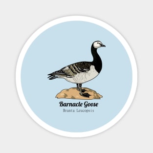 Barnacle Goose Magnet